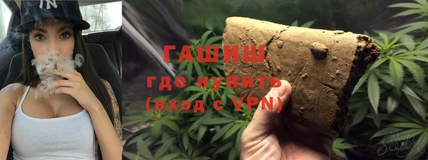 шишки Алзамай