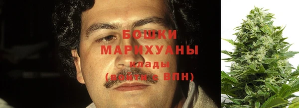 шишки Алзамай