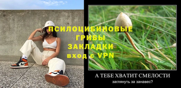 спайс Алексин