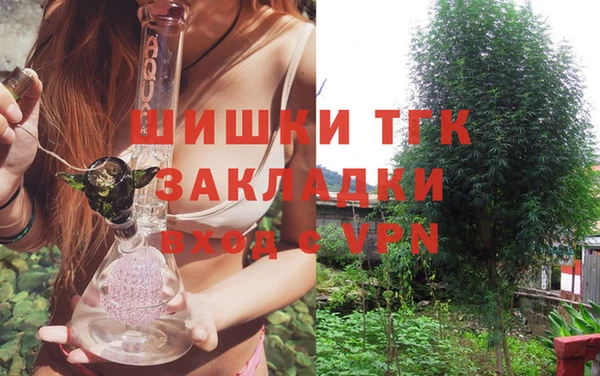 шишки Алзамай