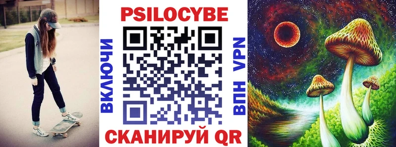 Галлюциногенные грибы Psilocybe  Камышин 