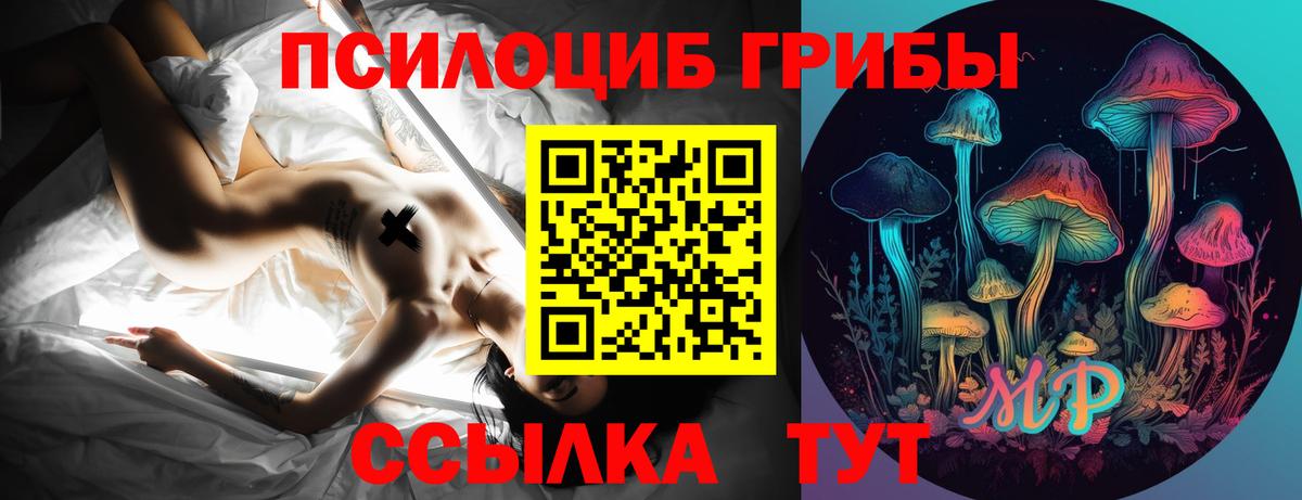 Галлюциногенные грибы MAGIC MUSHROOMS Камышин