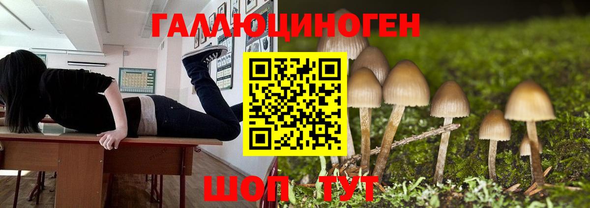 Галлюциногенные грибы мицелий  Вход с VPN  Камышин 