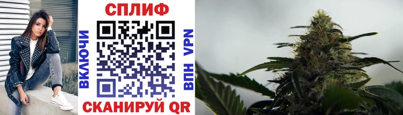 Бошки марихуана White Widow  Камышин 