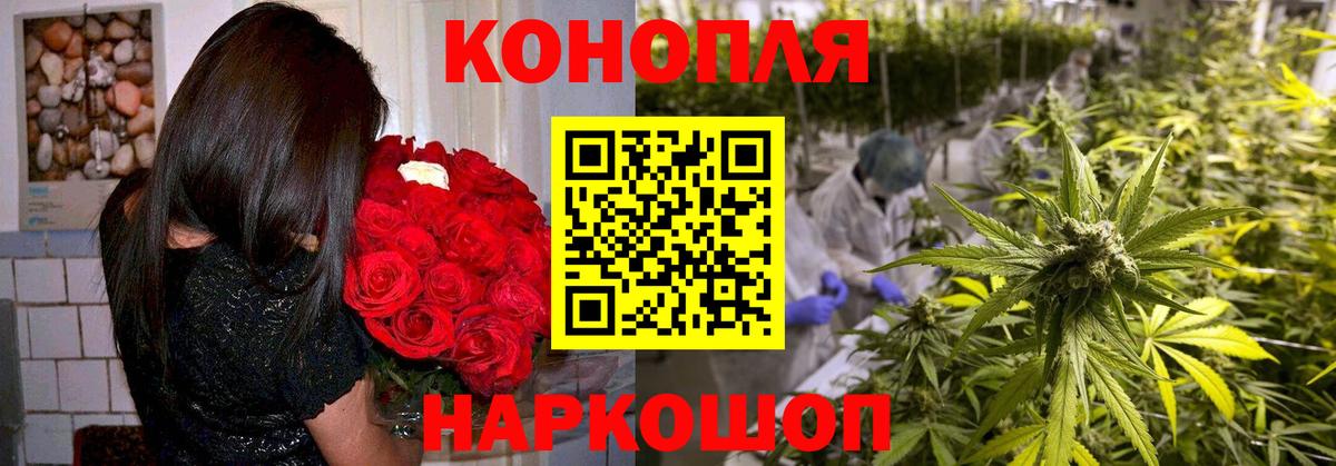 Каннабис план Камышин